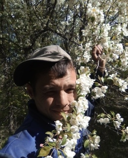 Тамерлан — фото 5